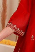 Red embroidered flared skirt set with antique-gold detailing and sheer dupatta5